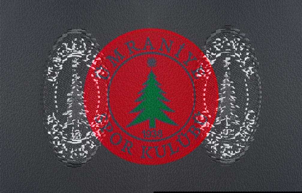 Mir Arena Umraniye Stadium Detail 02